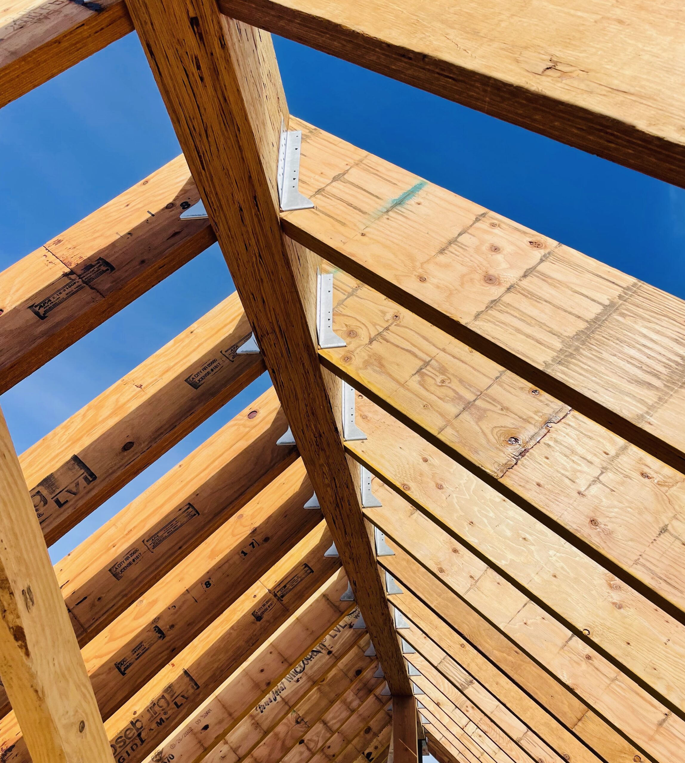 Campillo Builders framing and roof work in progress